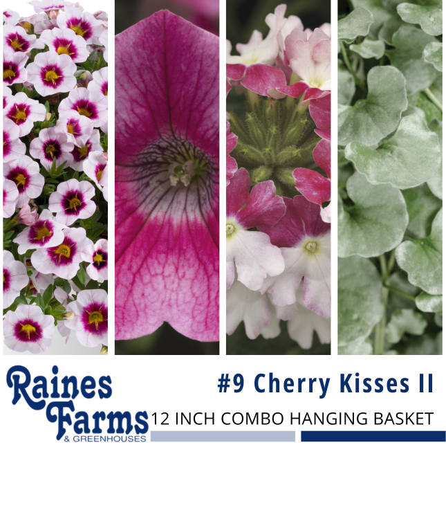 #9: Cherry Kisses II 12 Inch Combo Hanging Basket